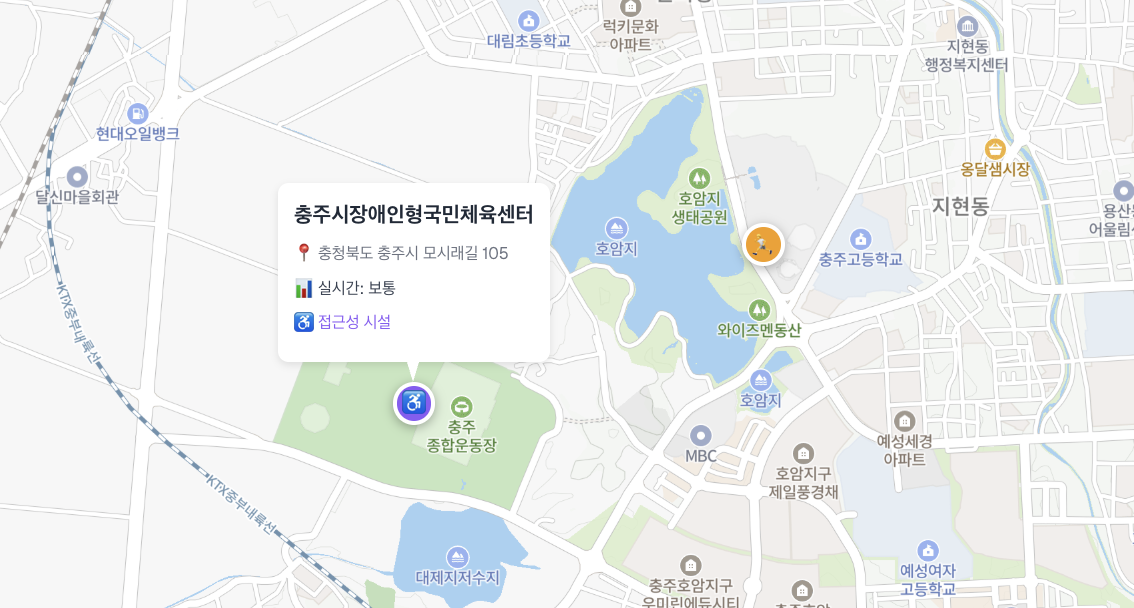 접근성 정보 확인하기 스크린샷